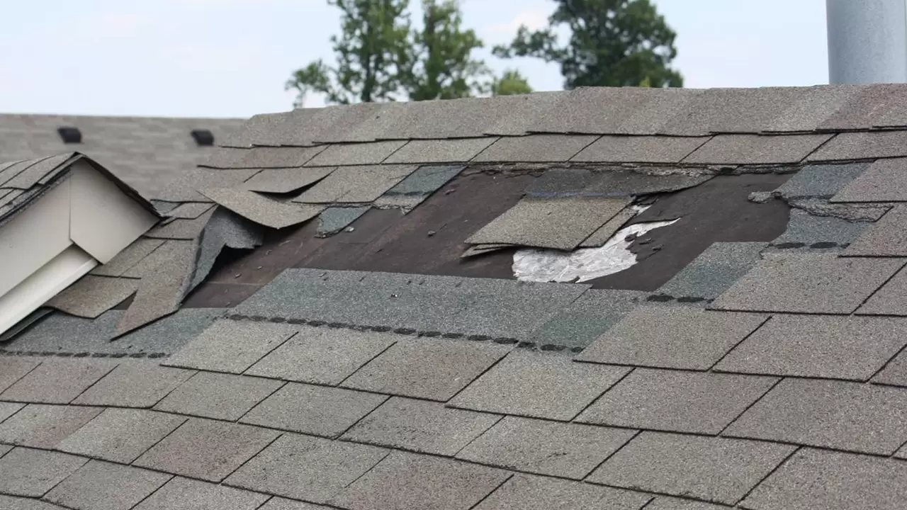 Roof Damage Repair