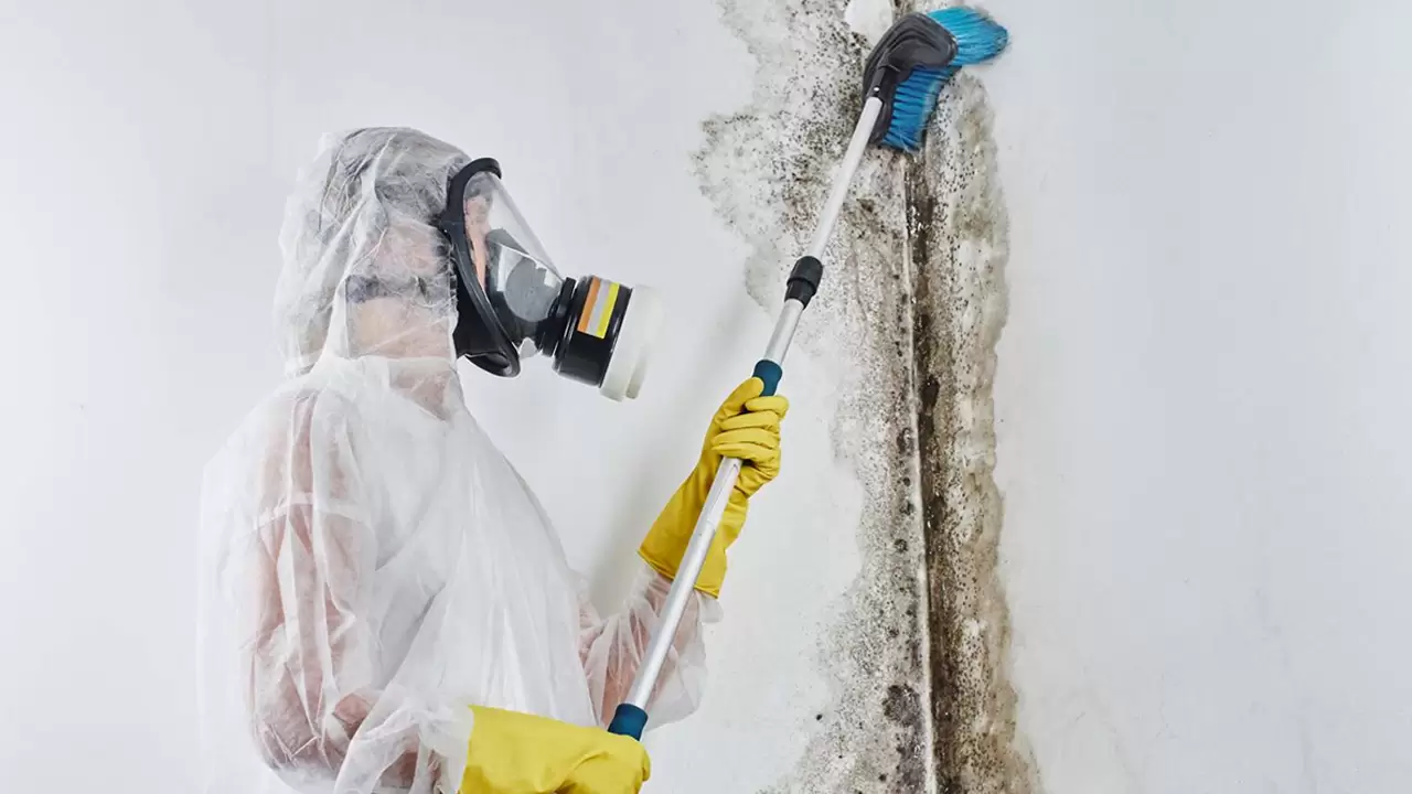 Mold Restoration