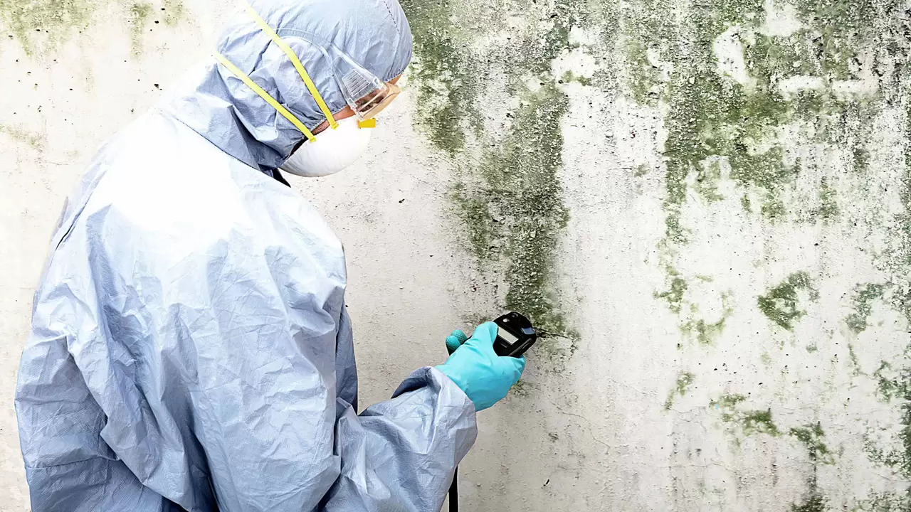 Mold Remediation