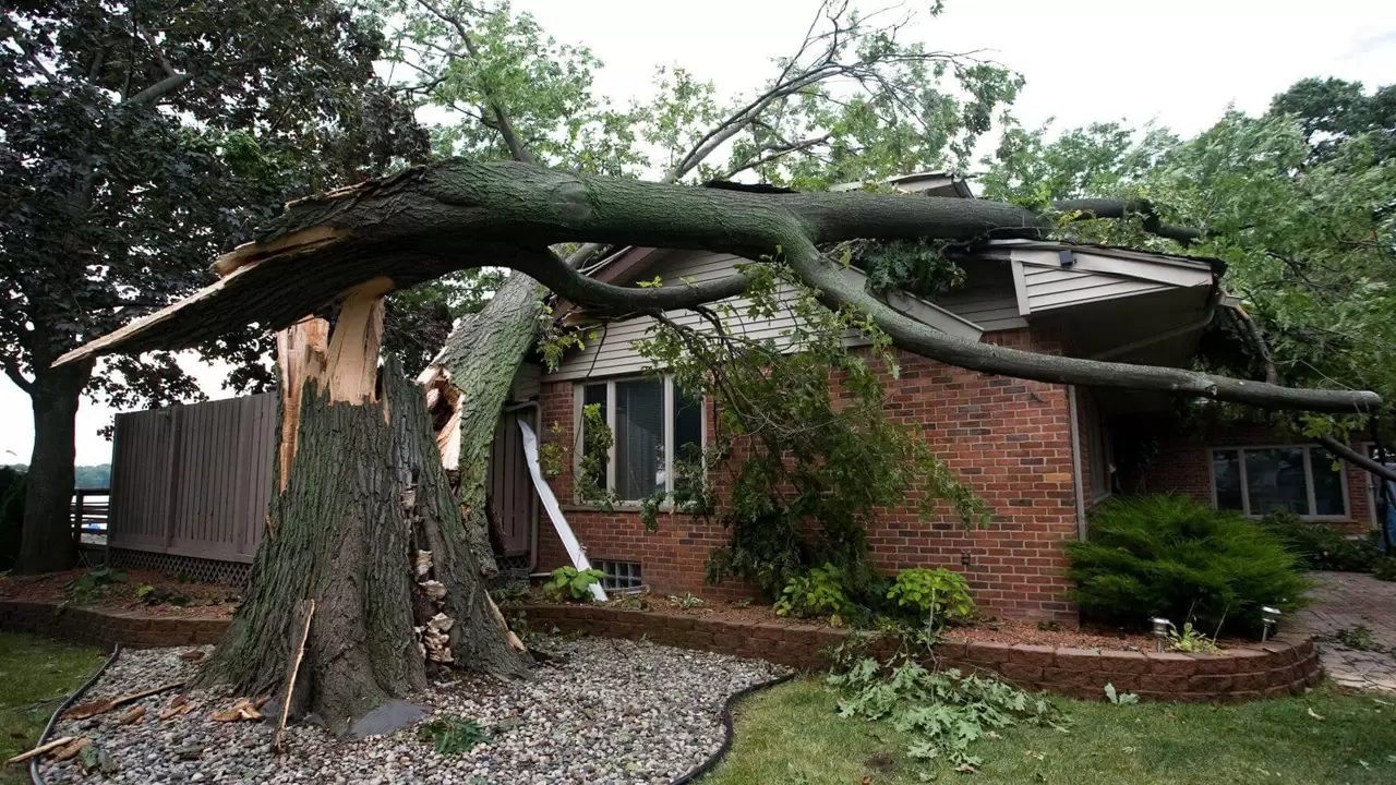 Storm Damage Restoration