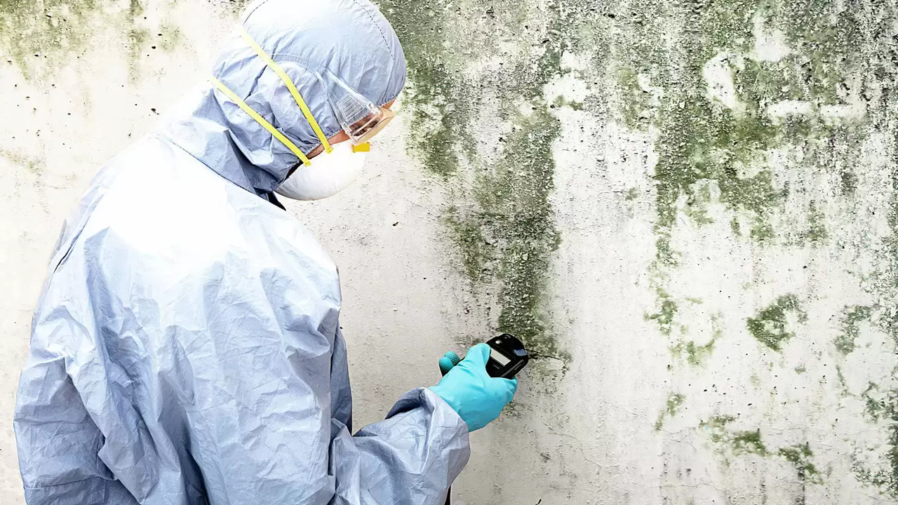 Mold Remediation