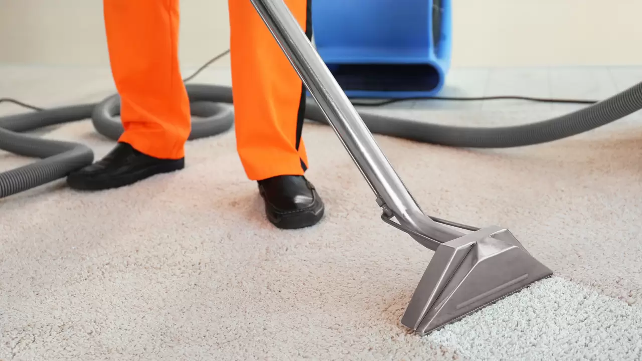 Carpet Cleaning