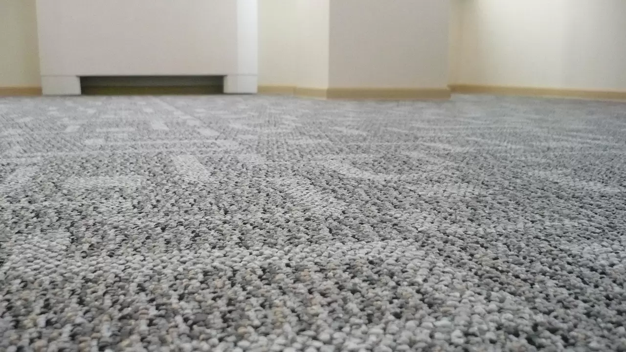 LVP & Carpet Floor