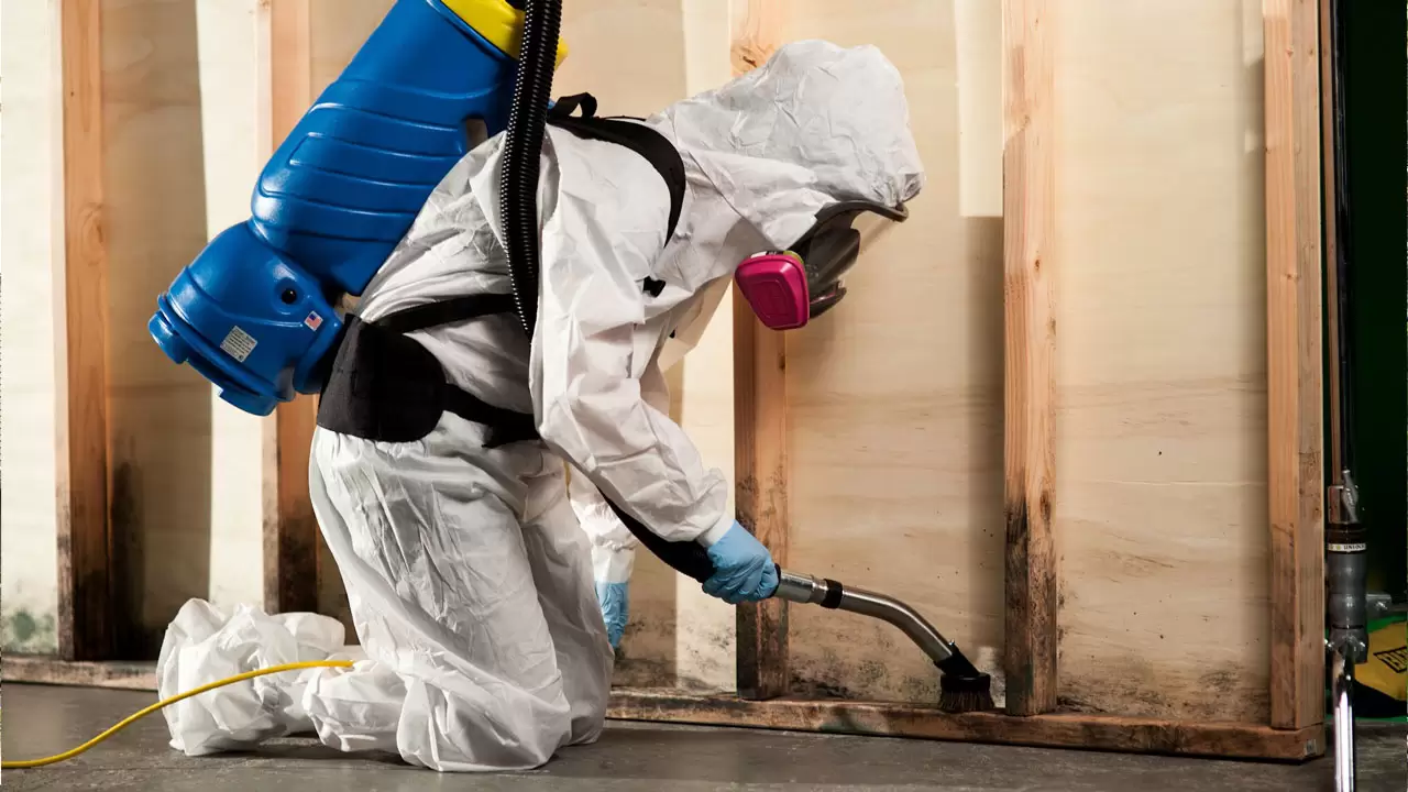 Mold Damage Restoration