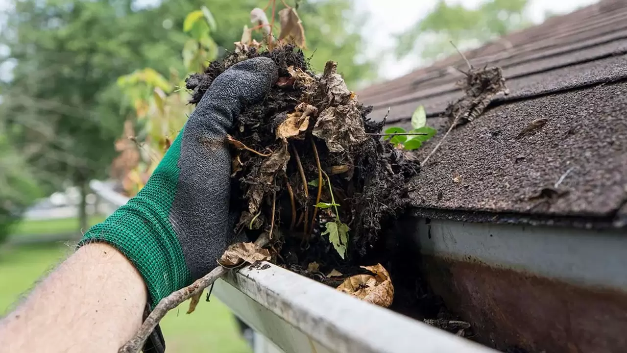 Gutter Cleaning Service