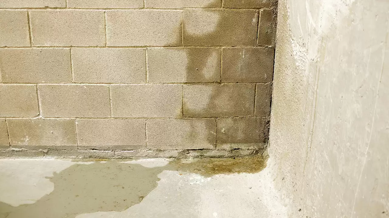 Basement Waterproofing