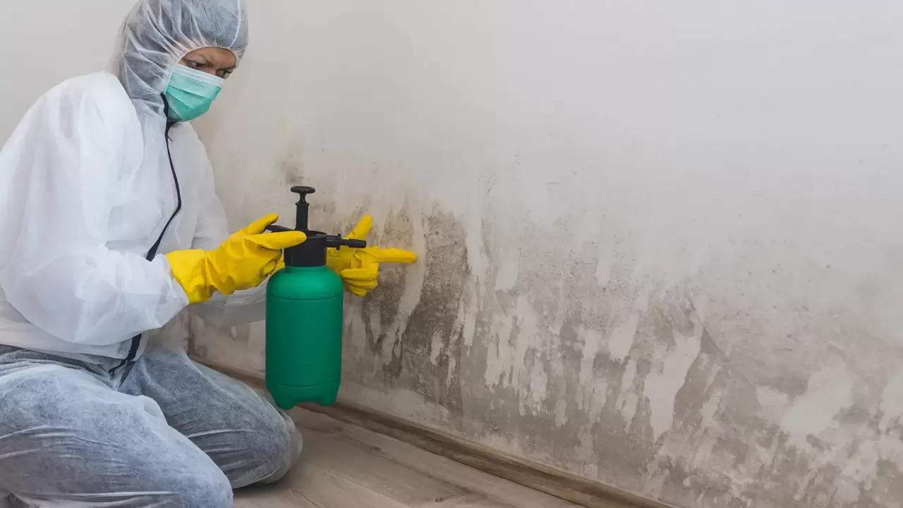 Mold Remediation