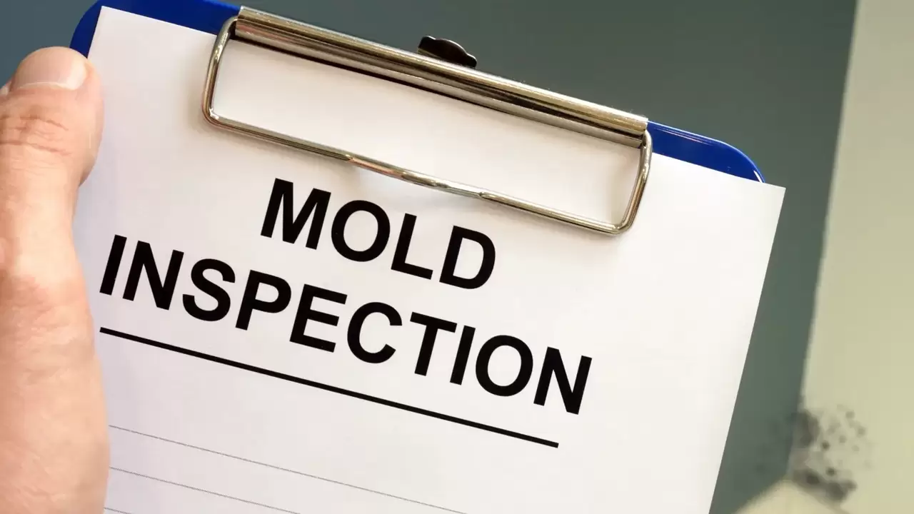 Mold Inspections