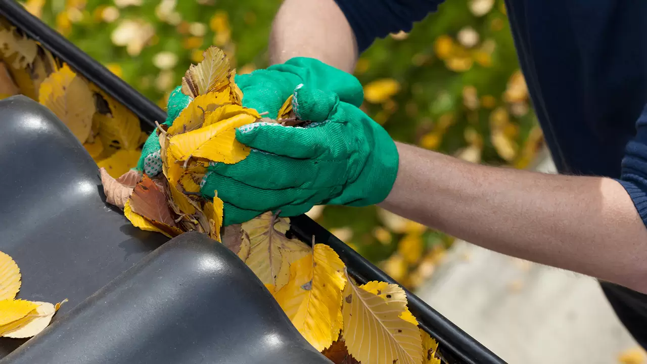 Gutter Cleaning