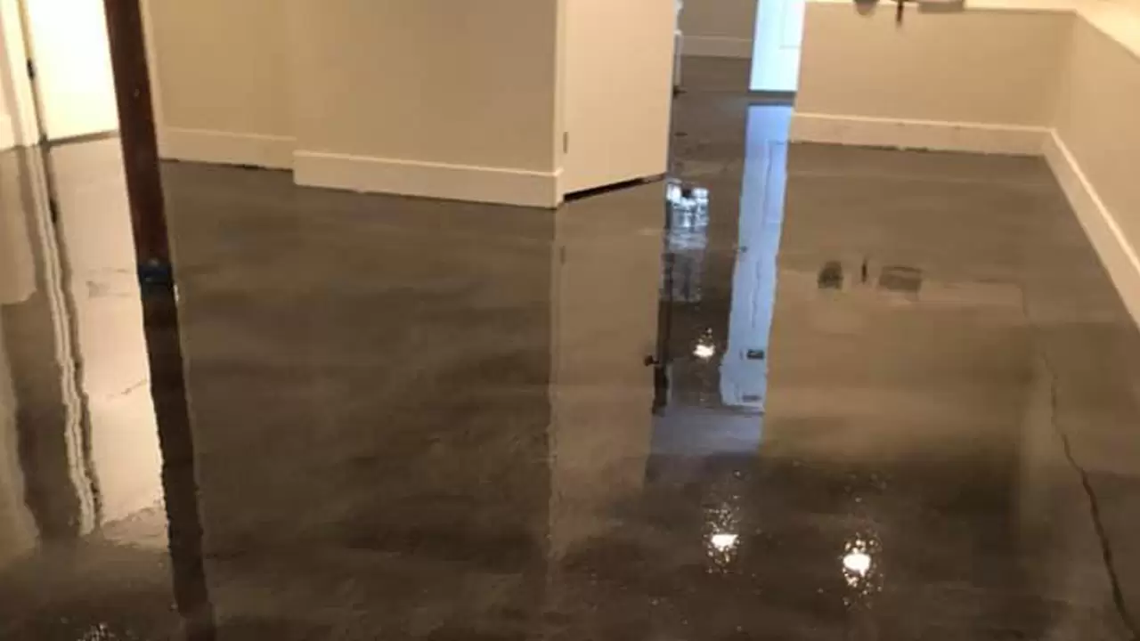 Epoxy Floors