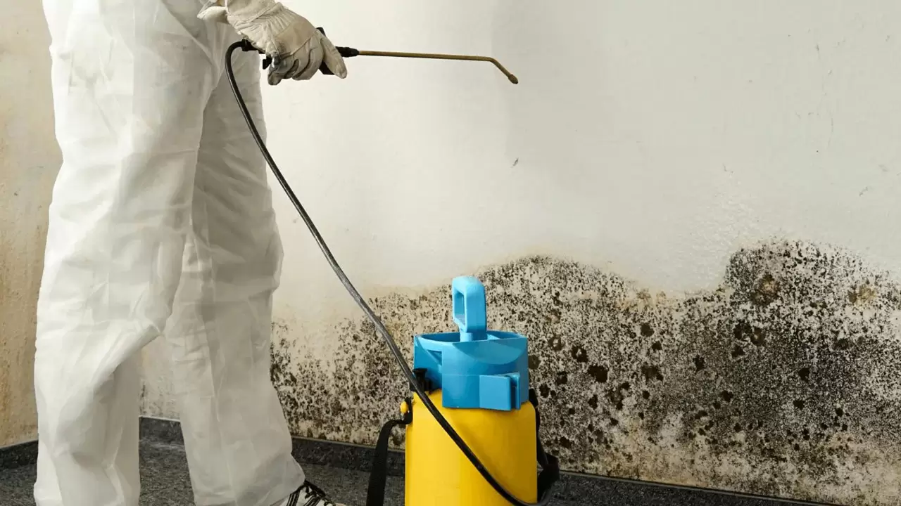 Mold Remediation