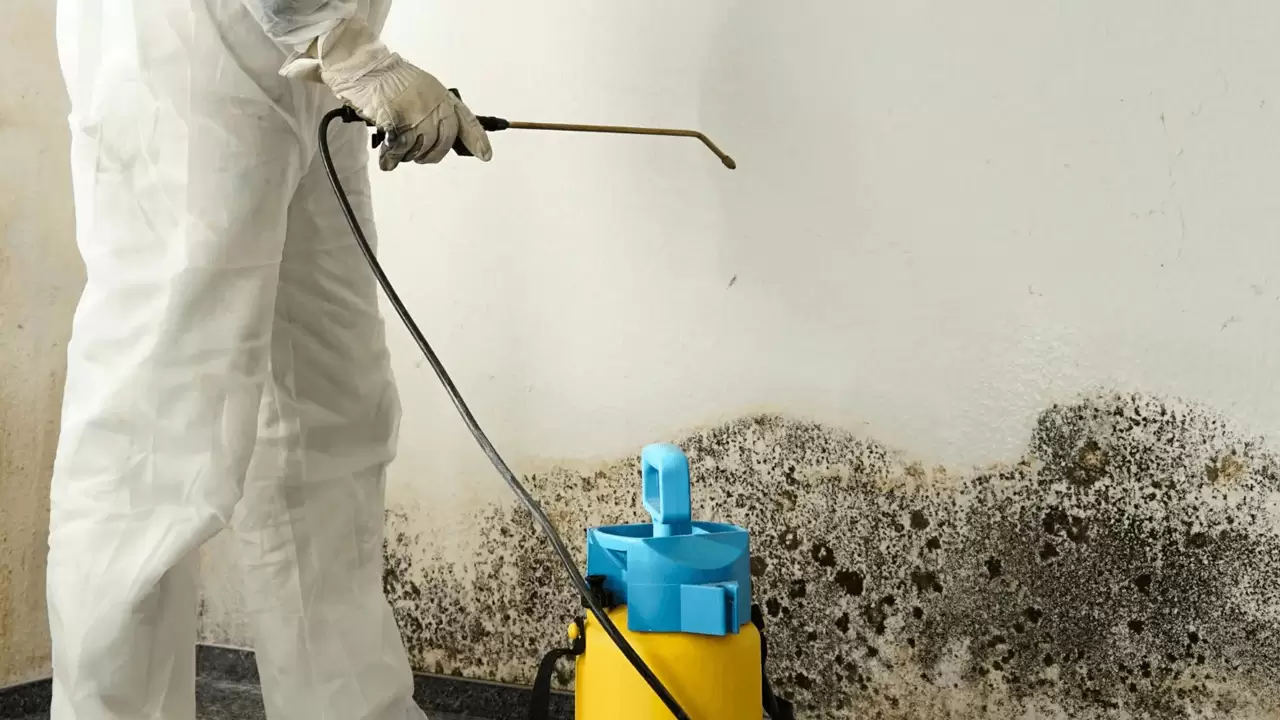 Mold Remediation