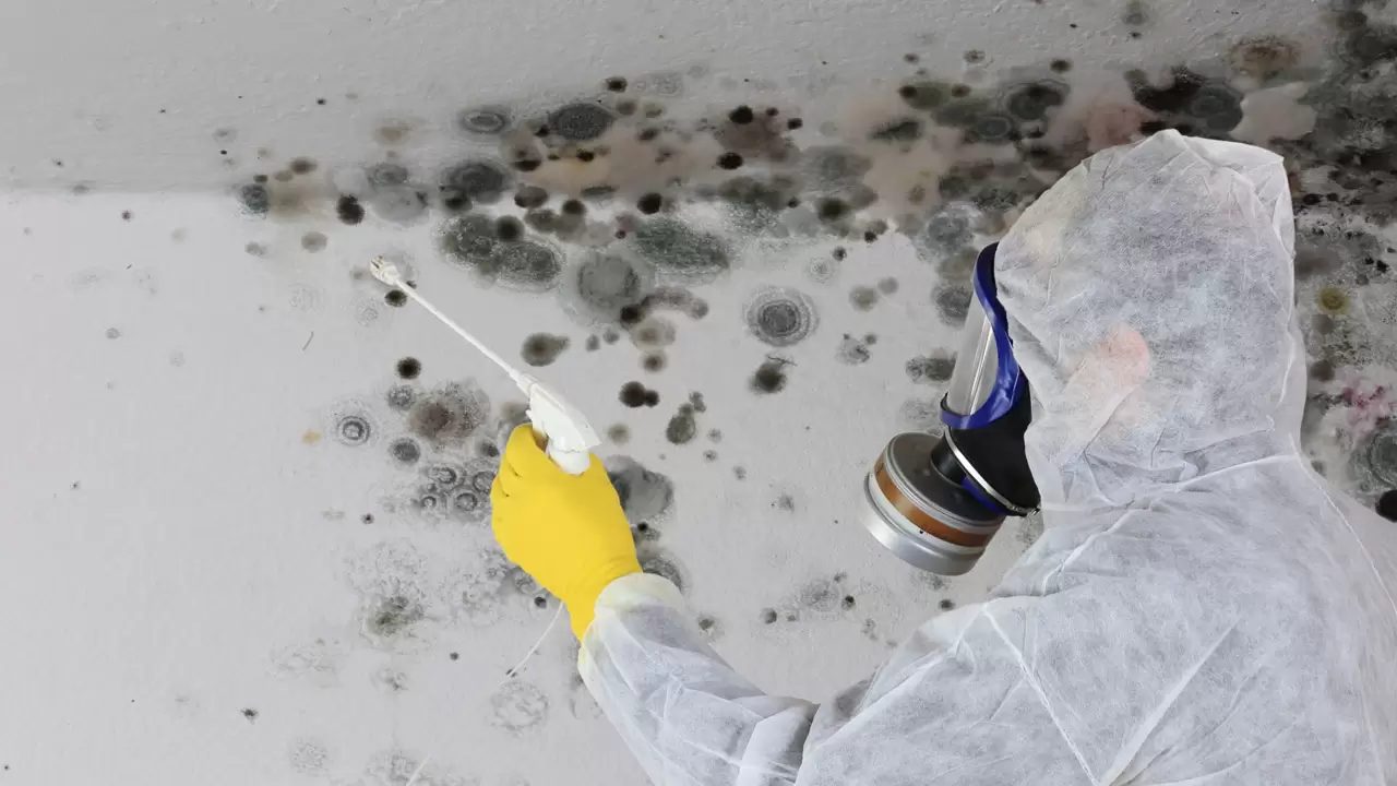 Mold Service