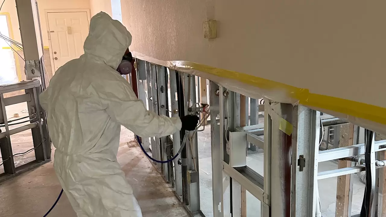 Mold Removal