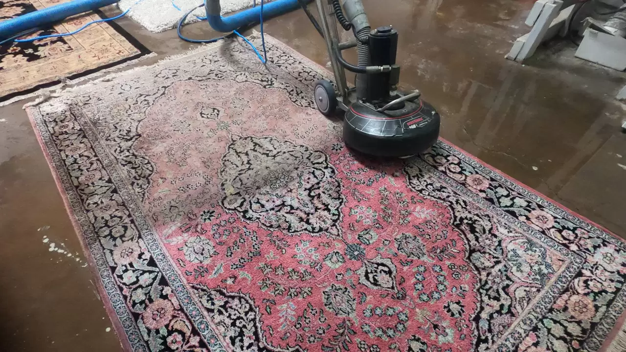 Carpet Area Rug Cleaning