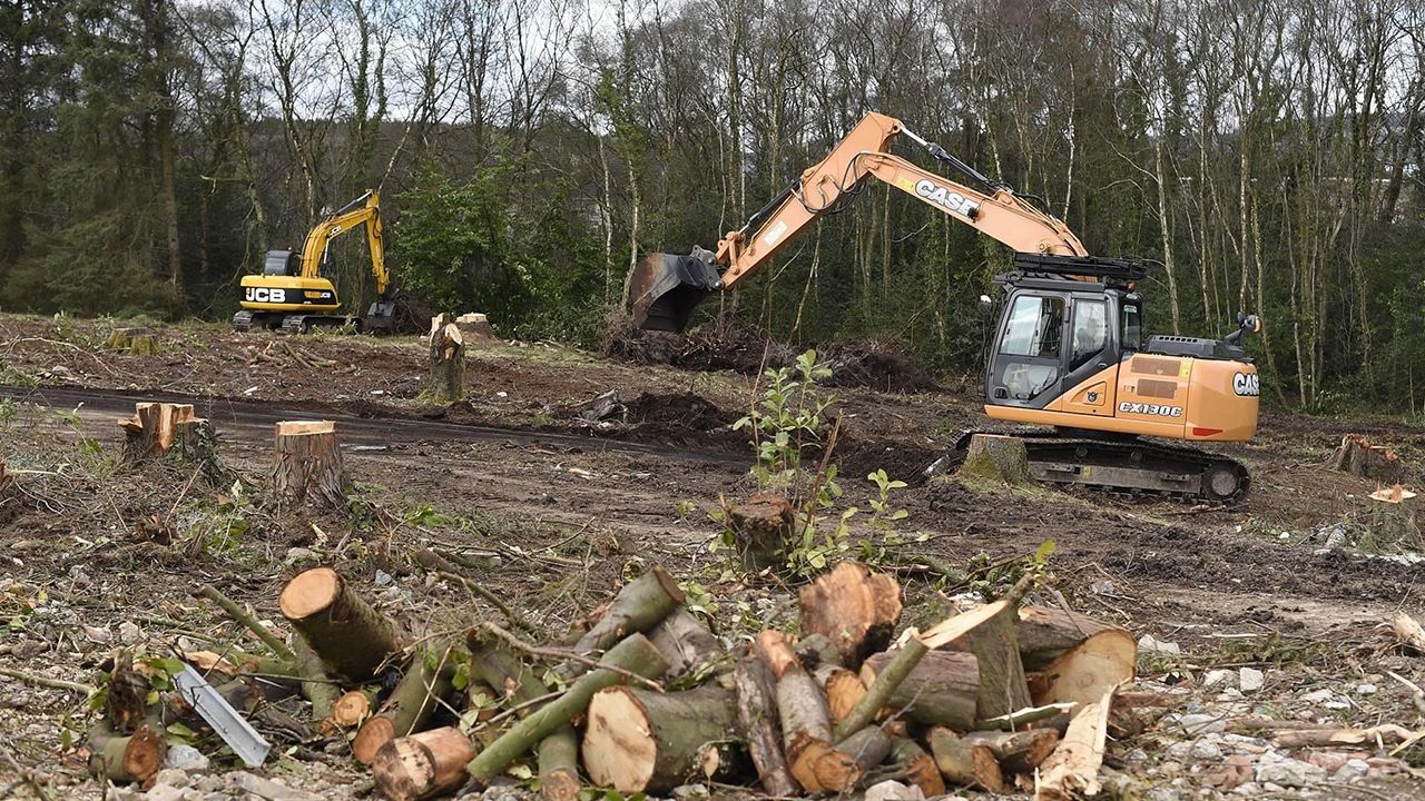 Logging & Land Clearing